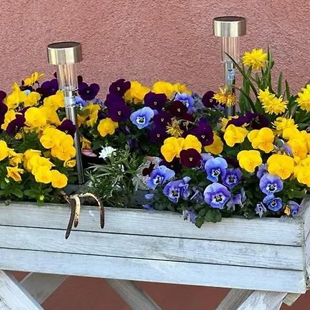 Daire Charmante Mit Kamin In Zarchlin *