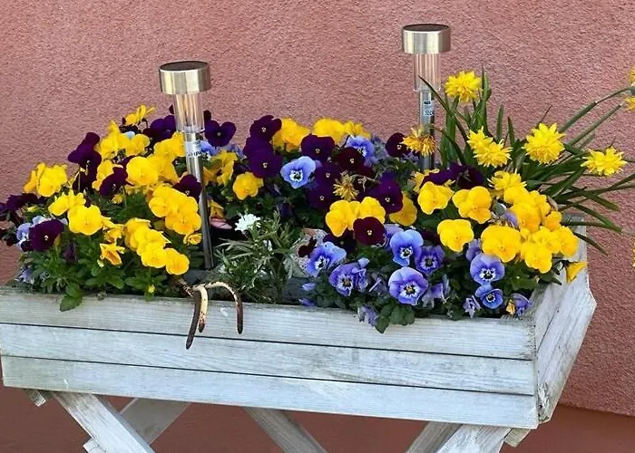 Appartement Charmante Mit Kamin In Zarchlin *